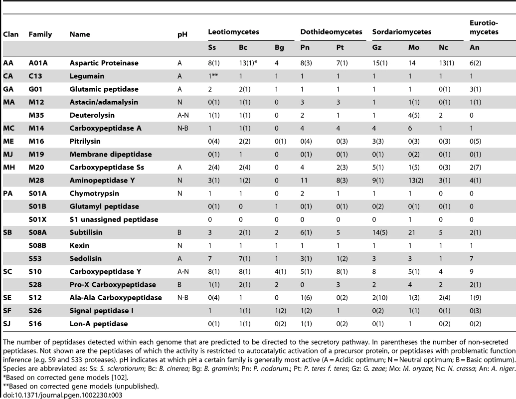 Secreted peptidases in <i>S. sclerotiorum</i>, <i>B. cinerea</i>, and other ascomycetes.