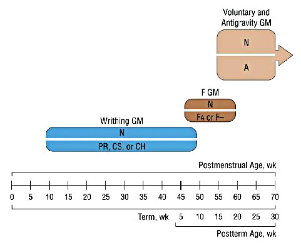 Vývojová trajektorie.
(Převzato z Ferrari F, Cioni G, Einspieler Ch, et al. Cramped synchronized general movements in preterm infants as an early marker for cerebral palsy. Arch Pediatr Adolesc Med 2002; 156 (5): 460–467 [10]. Neupraveno.)