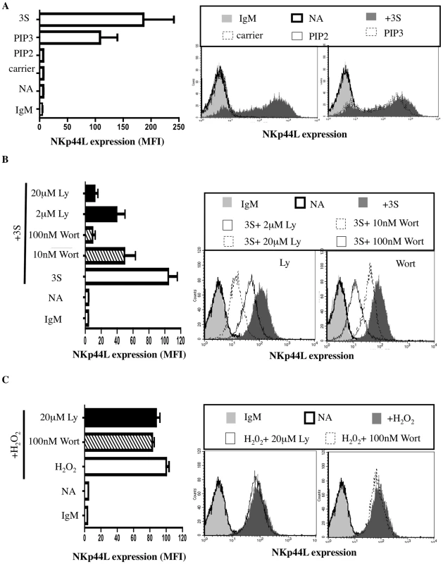 The 3S peptide activates the PI3K.