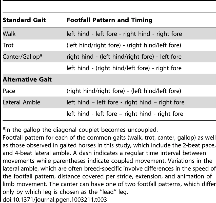 Description of common and alternative gaits characteristic of horses included in this study.