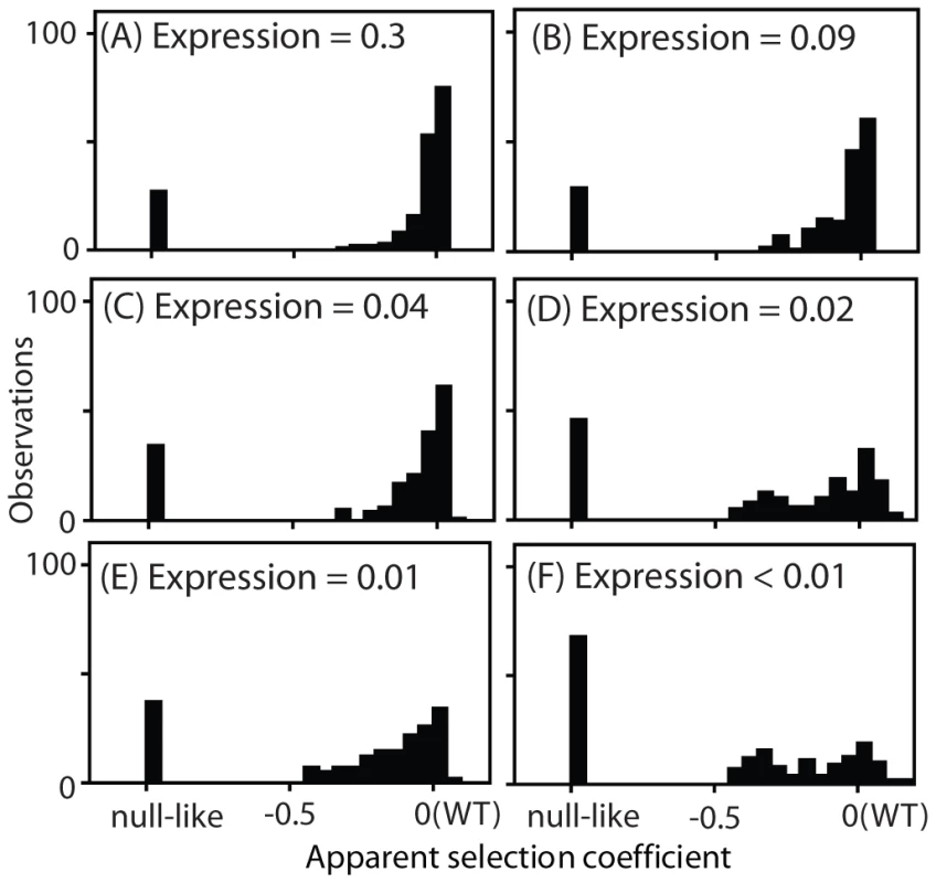 Distribution of observed fitness effects.