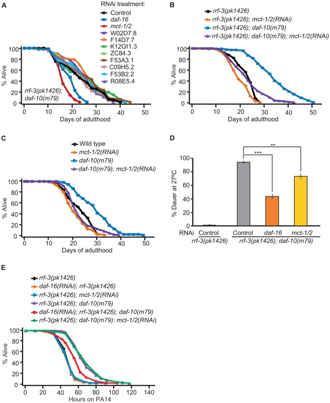 <i>mct-1/2</i> is required for the long lifespan and dauer formation of <i>daf-10</i> mutants.