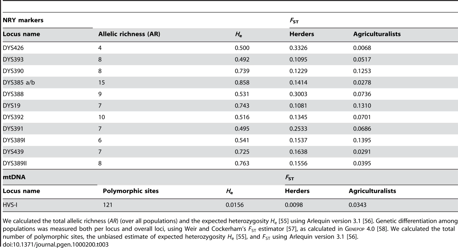 Level of diversity and differentiation for NRY markers and mtDNA.