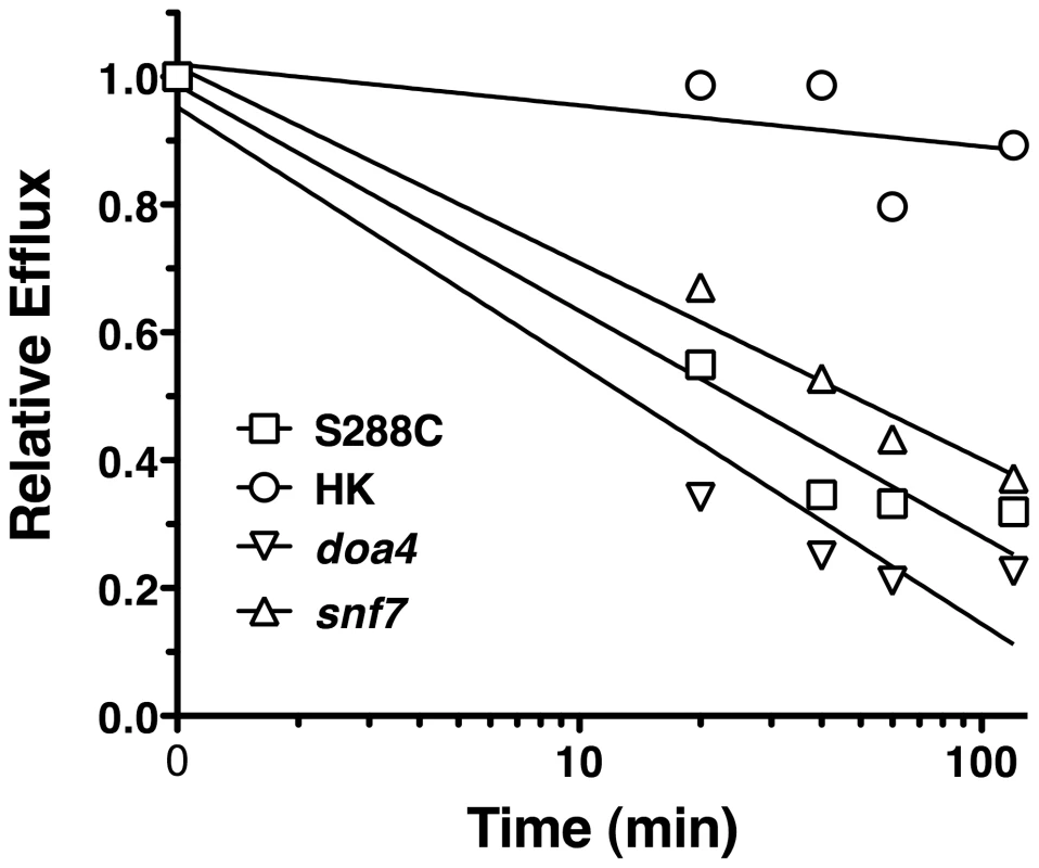 R6G Efflux of <i>S. cerevisiae</i> mutants.
