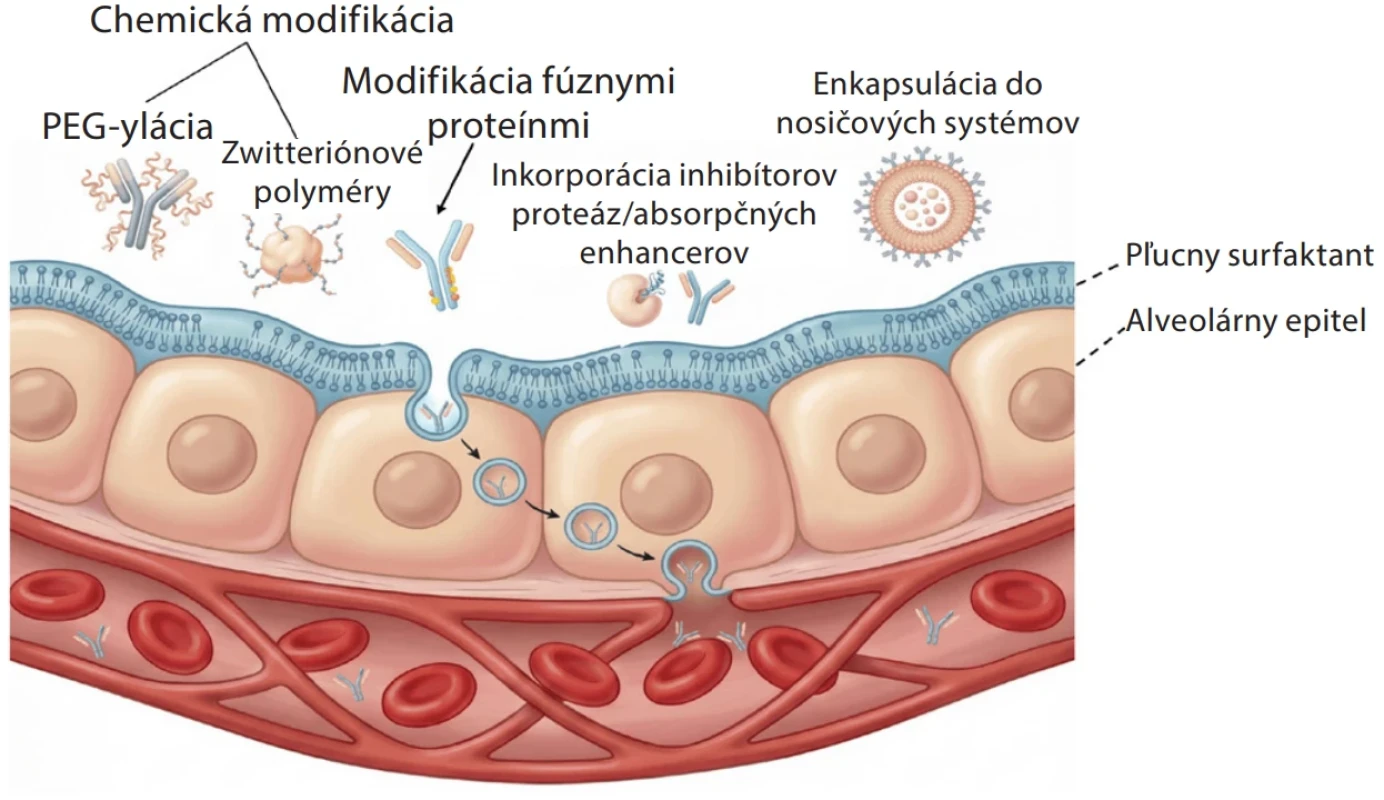 Schéma stratégií na zlepšenie absorpcie inhalovaných biofarmaceutík (vytvorené pomocou programu Illustrae – Professional Scientific Illustration Platform)