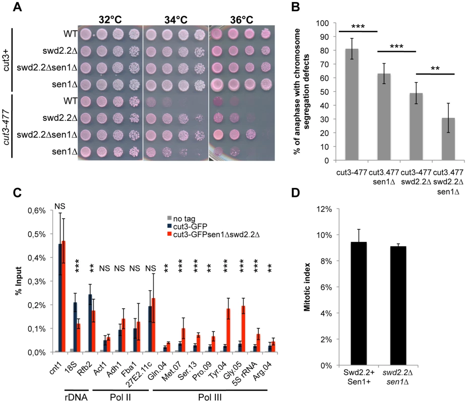 The double deletion of Swd2.2 and Sen1 facilitates the localization of condensin at Pol III-transcribed genes.