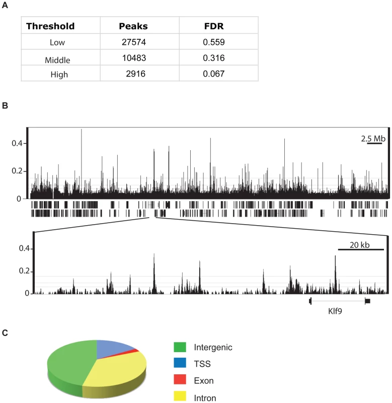 CHD7 ChIP–Seq analysis in mouse ES cells.