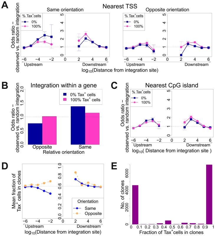 Genomic environment at HTLV-1 proviral integration site associated with proviral expression after 18 h in culture.