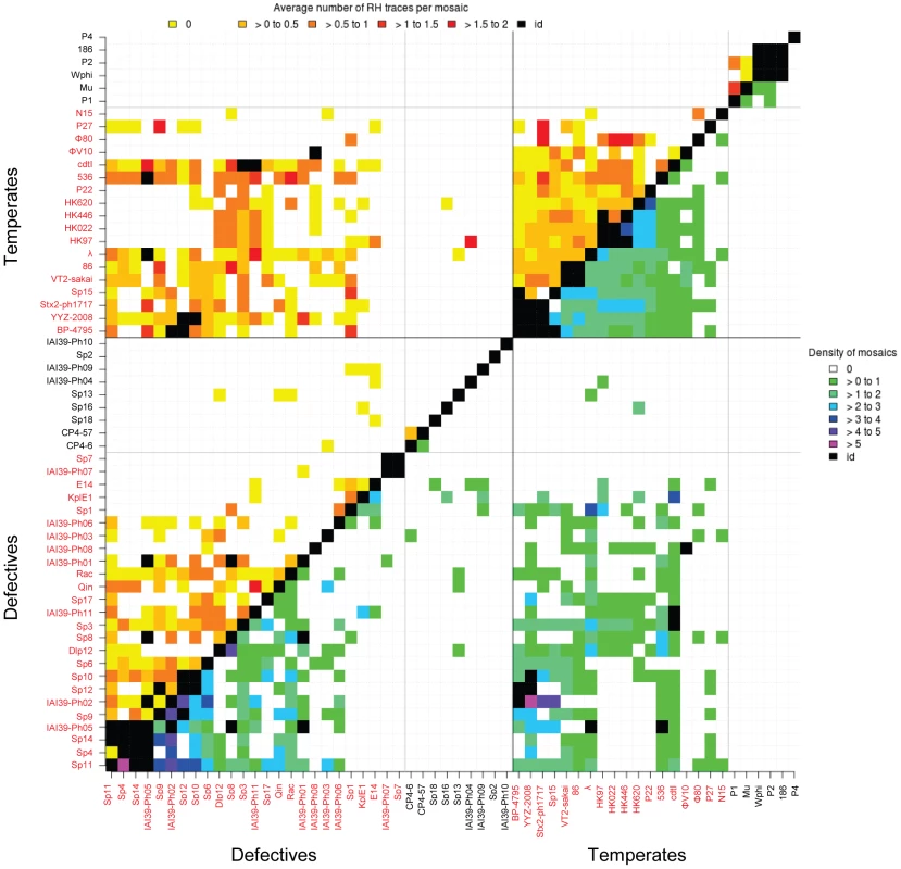 Heat map of mosaic characteristics in temperate and defective phages.