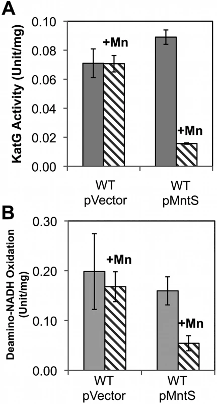 Heme-containing enzymes, catalase and cytochrome oxidase, fail to function properly during manganese toxicity.