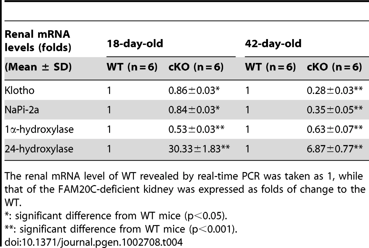 Renal mRNA levels of Klotho, NaPi-2a, 1α-hydroxylase, and 24-hydroxylase in the 18-day-old and 42-day-old WT and <i>Fam20c</i>-cKO mice.