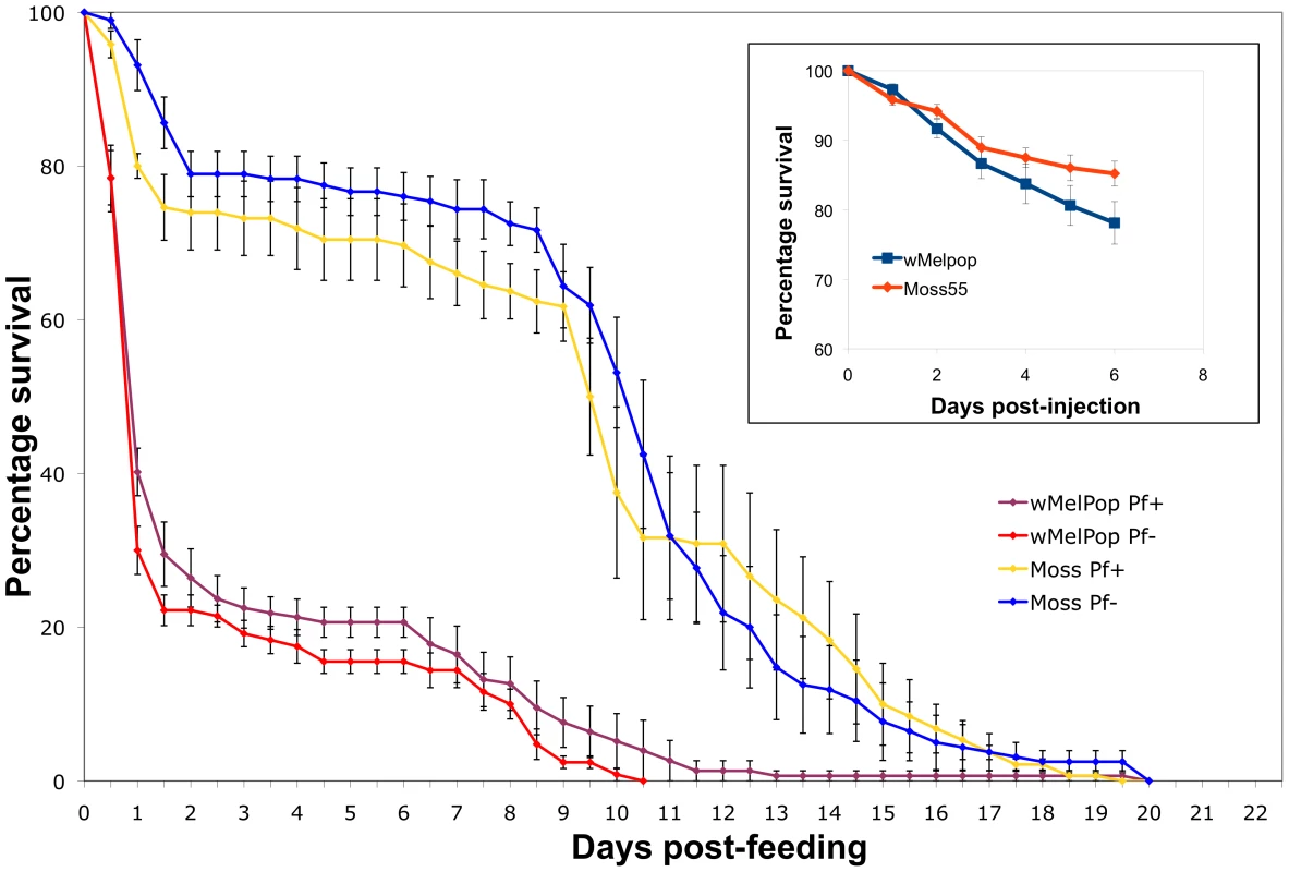 Mortality of wMelPop-infected <i>An</i>. <i>gambiae</i> mosquitoes.