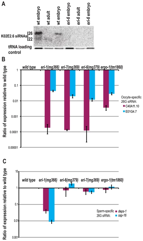 <i>eri-6/7</i> is required for the accumulation of distinct classes of endogenous siRNAs.