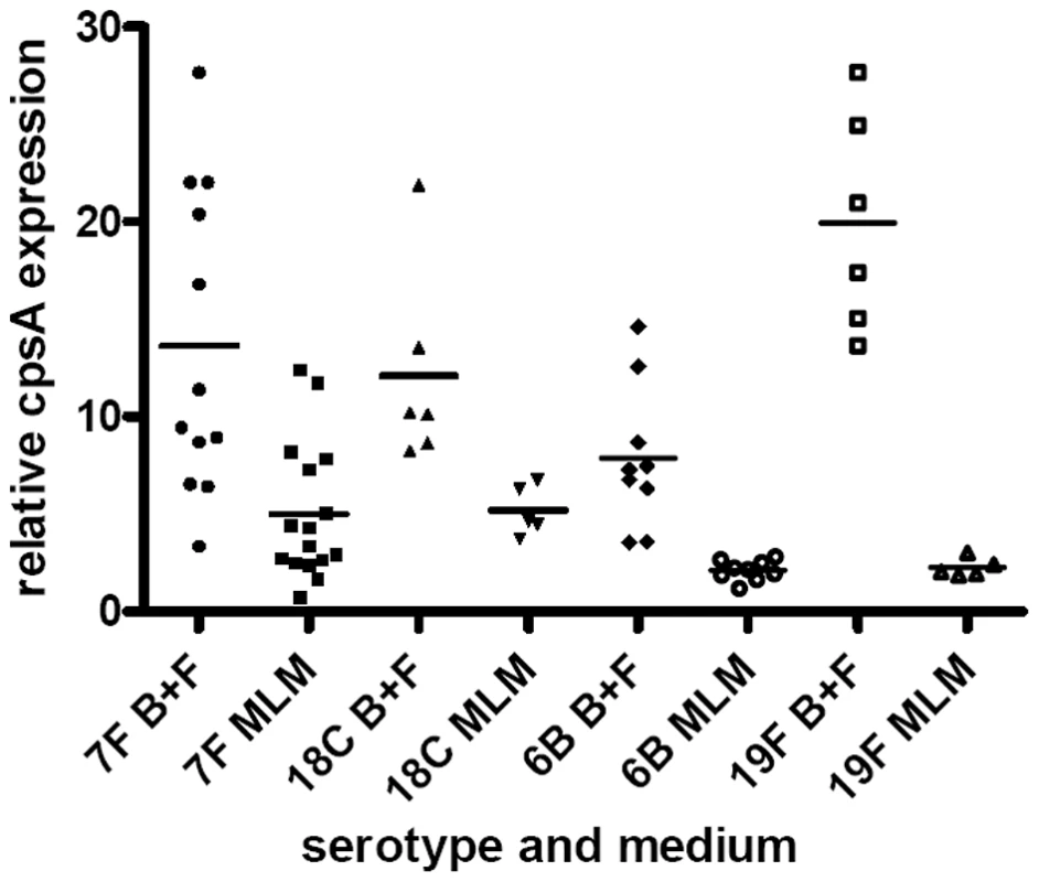 Relative <i>cpsA</i> expression.