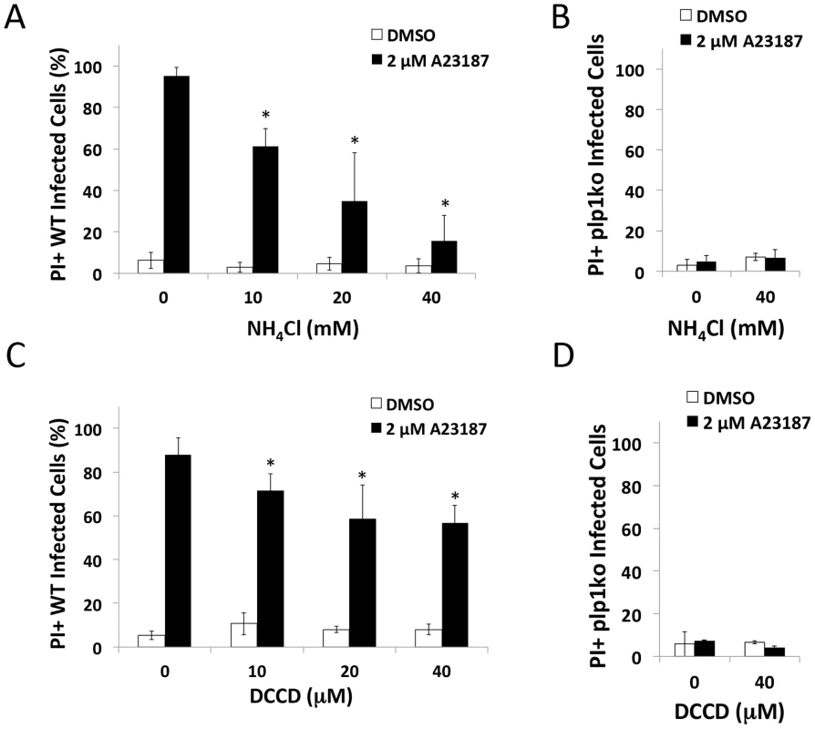 pH-neutralizing agents reduce egress-associated membrane permeabilization.