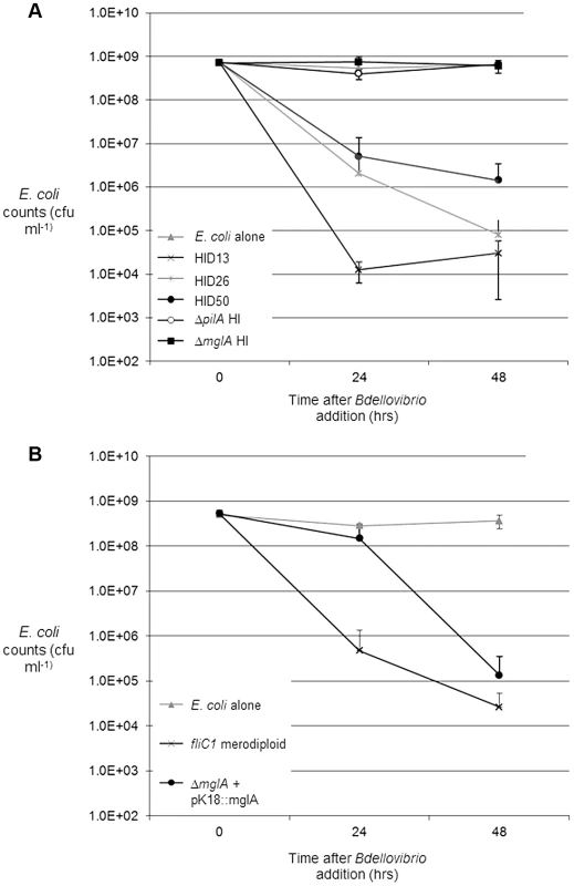 Predation and <i>in cis</i> complementation of <i>B. bacteriovorus <i>Δ</i>mglA</i> HI strains, on <i>E. coli</i> prey.