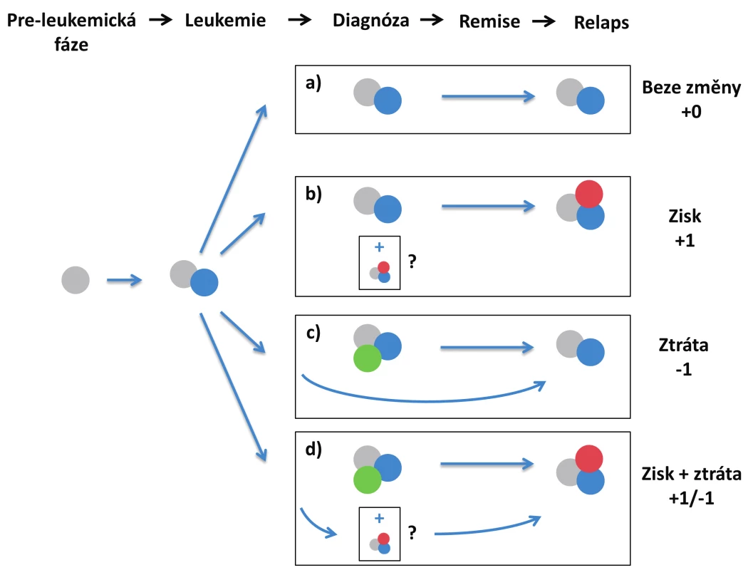 Scénáře relapsu na základě zisku/ztráty mutací
a) relaps hlavního diagnostického klonu, bez zisku/ztráty mutací;
b) zisk mutace v relapsu;
c) ztráta mutace v relapsu – dominantní diagnostický klon zaniká, relaps pochází z vývojově předcházejícího leukemického klonu;
d) současná ztráta a zisk jiné mutace – dominantní diagnostický subklon zaniká, relaps pochází z vývojově předcházejícího leukemického klonu V případech b) a d) se může jednat o evoluci nového leukemického subklonu během léčby nebo po léčbě, nebo o nárůst minoritního subklonu, který byl již přítomen v době diagnózy.