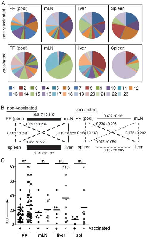 Vaccination modulates routes of <i>S.</i> Typhimurium dissemination.