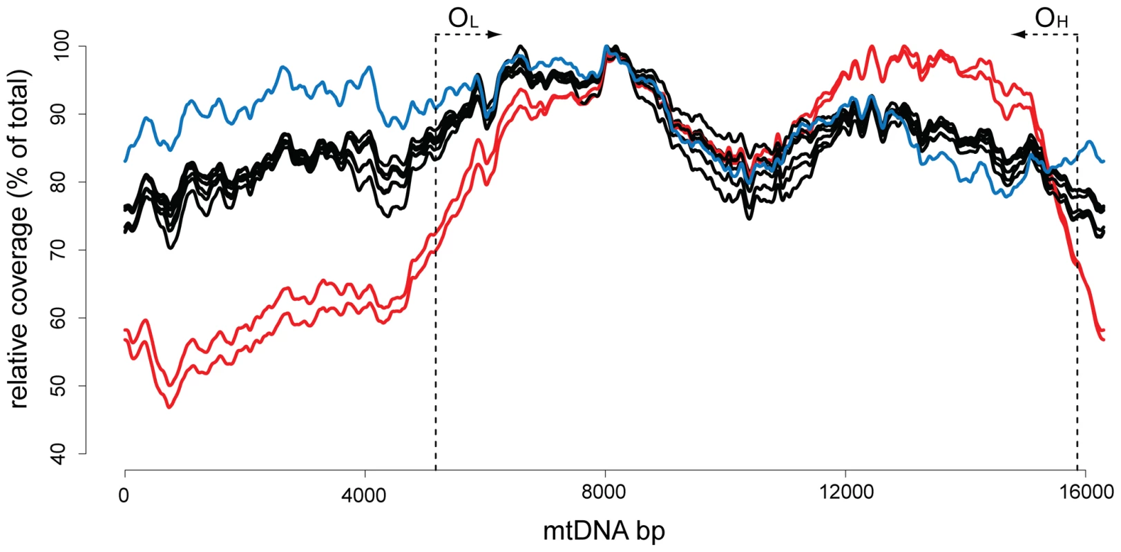 Sequence coverage for the mouse mtDNA samples.