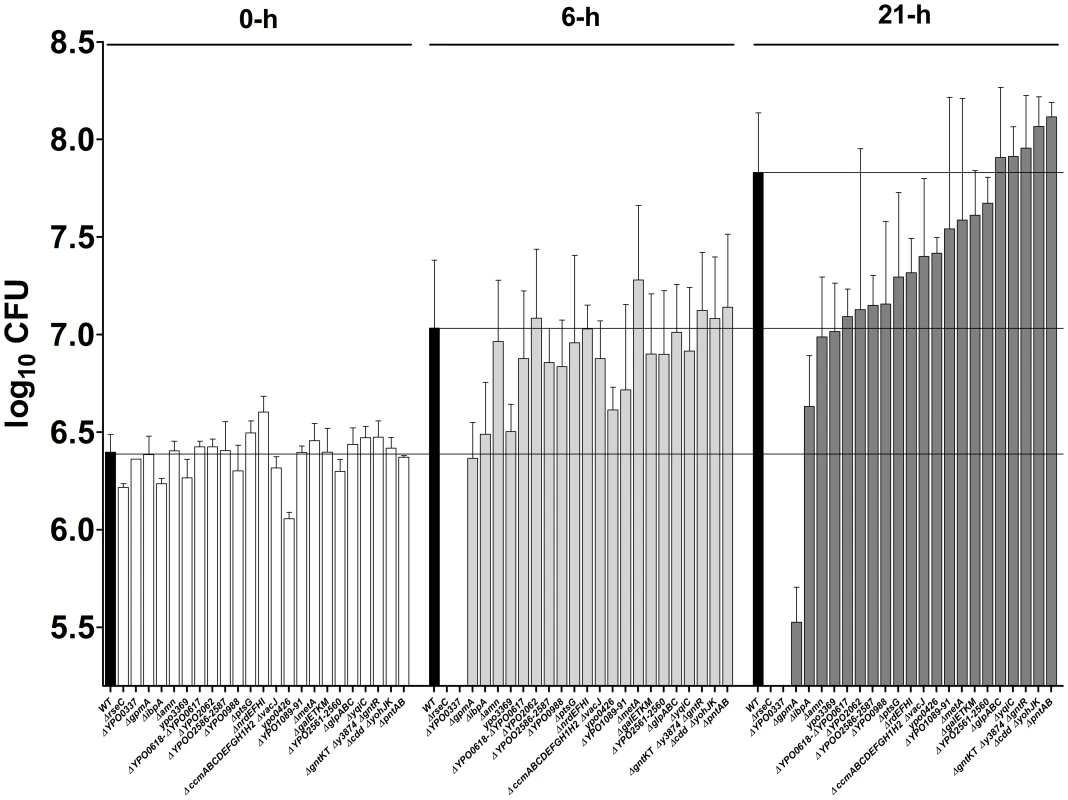 Stress, metabolic and uncharacterized genes are needed for resistance and/or growth in serum.