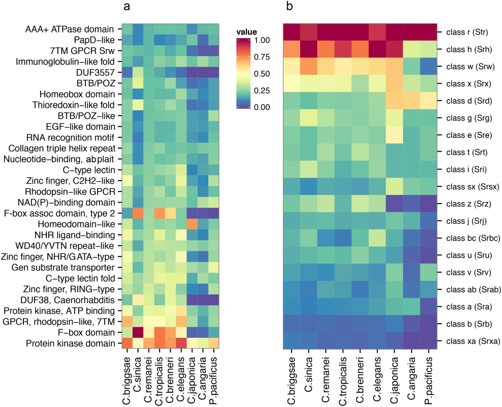 Comparative analysis of protein diversity.