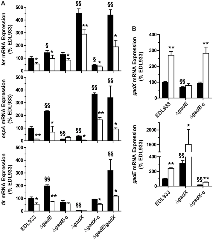 Regulation of LEE1/4/5 by GadE and GadX.