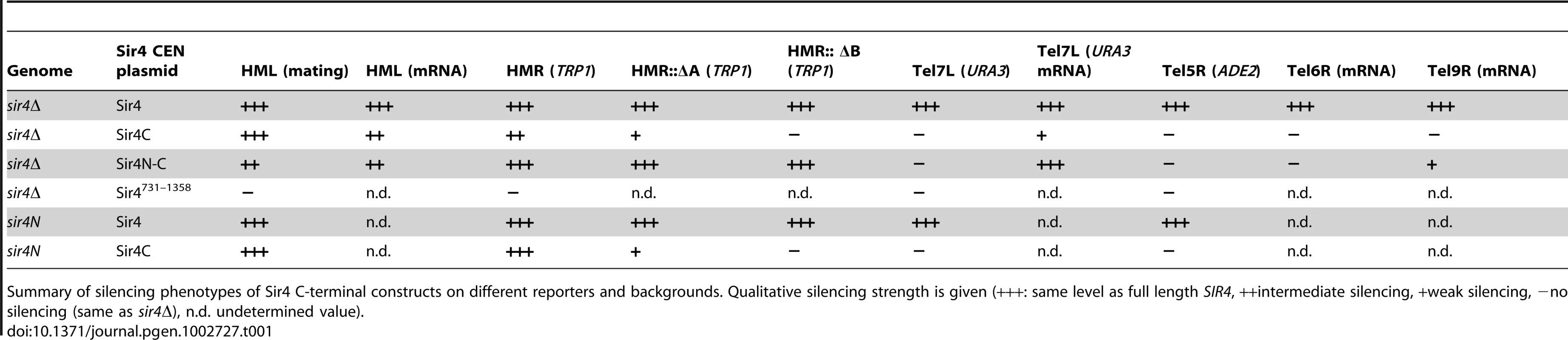 Summary of silencing phenotypes.
