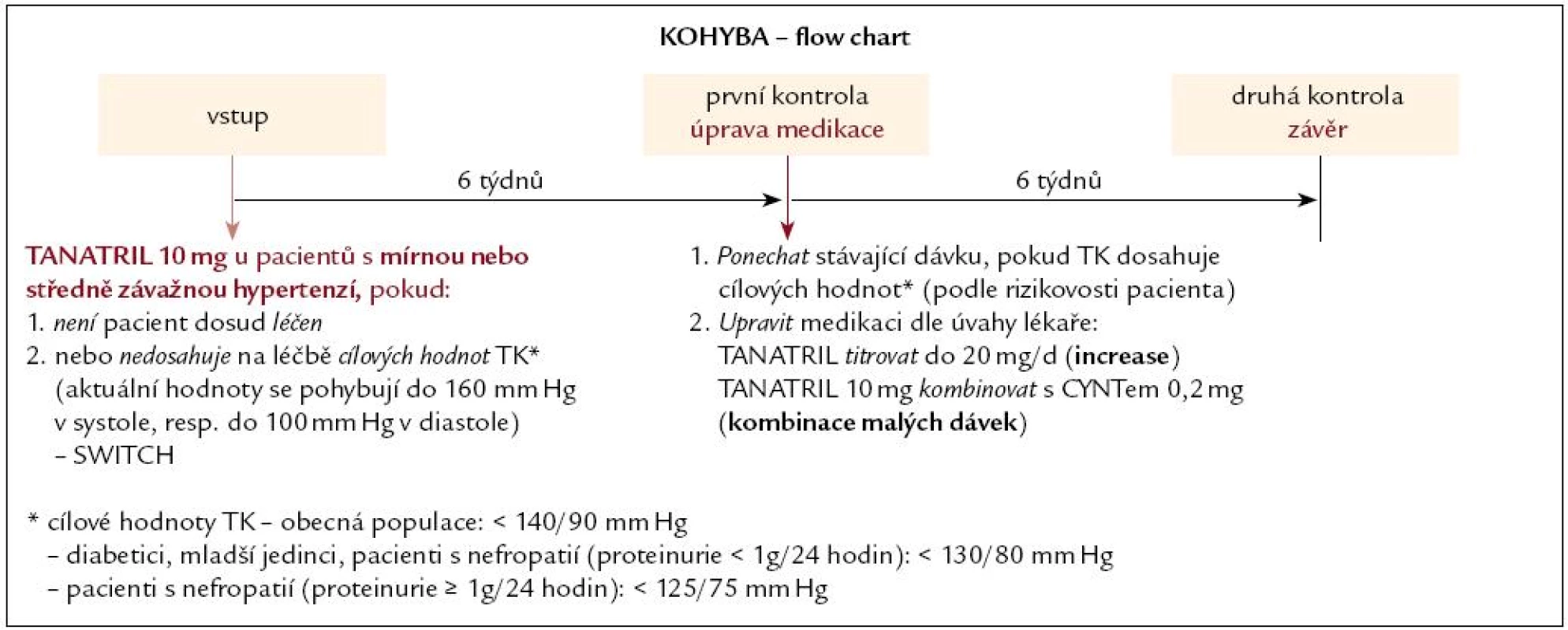 Uspořádání studie.