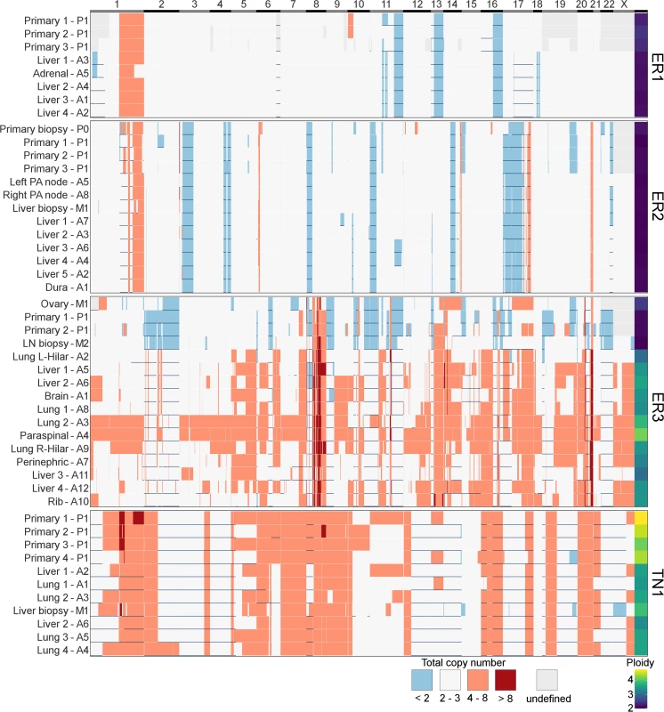 Heatmap of copy number across all samples.