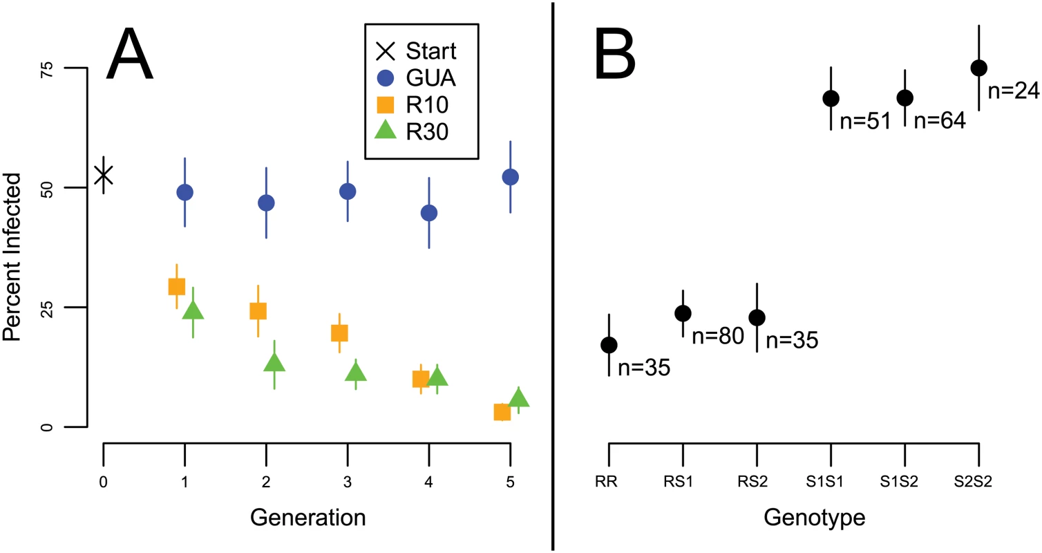 Resistance phenotypes.