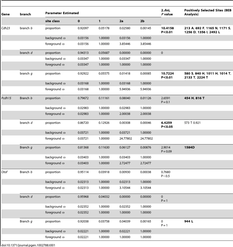 Summary of selective pressure analysis for the hearing genes <i>Cdh23</i>, <i>Pcdh15</i>, and <i>Otof</i>.