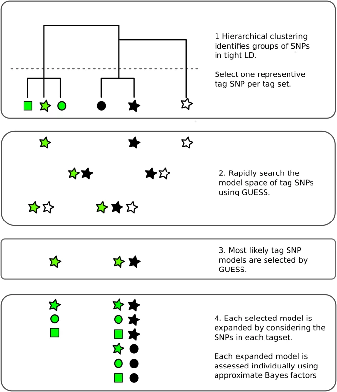 Overview of the fine mapping tailored stochastic search strategy in GUESSFM.