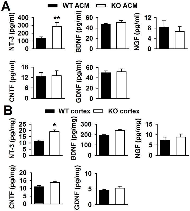 Levels of neurotrophic factors <i>in vitro</i> and <i>in vivo</i>.