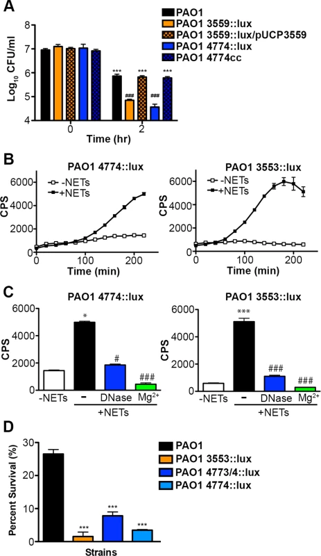 <i>Pseudomonas aeruginosa</i> responds to DNA in neutrophil extracellular traps and induces protective bacterial surface modifications.