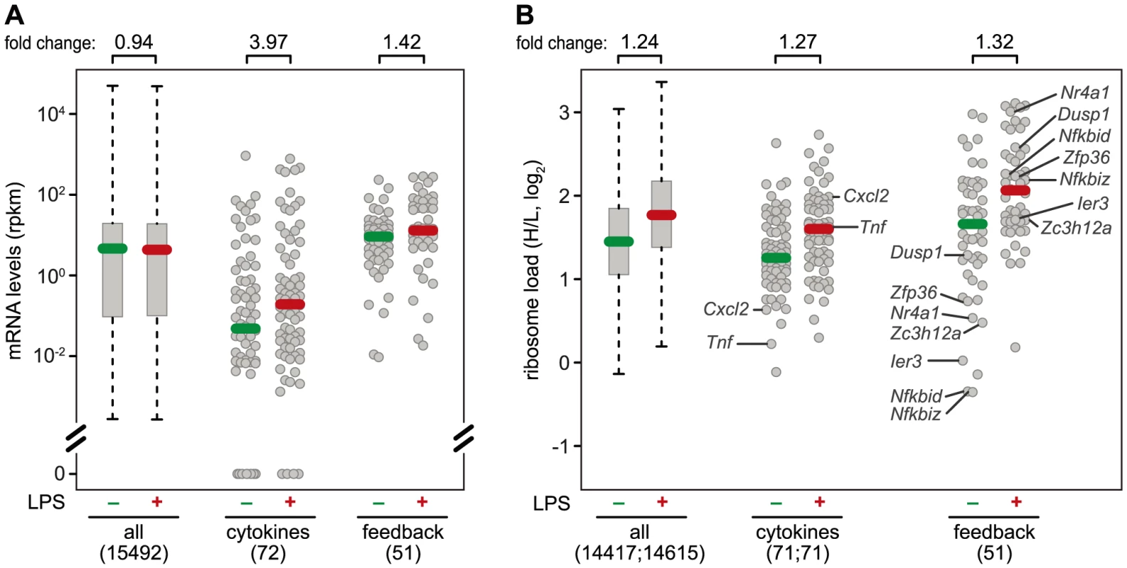 mRNA levels and translation of cytokines and feedback inhibitors.