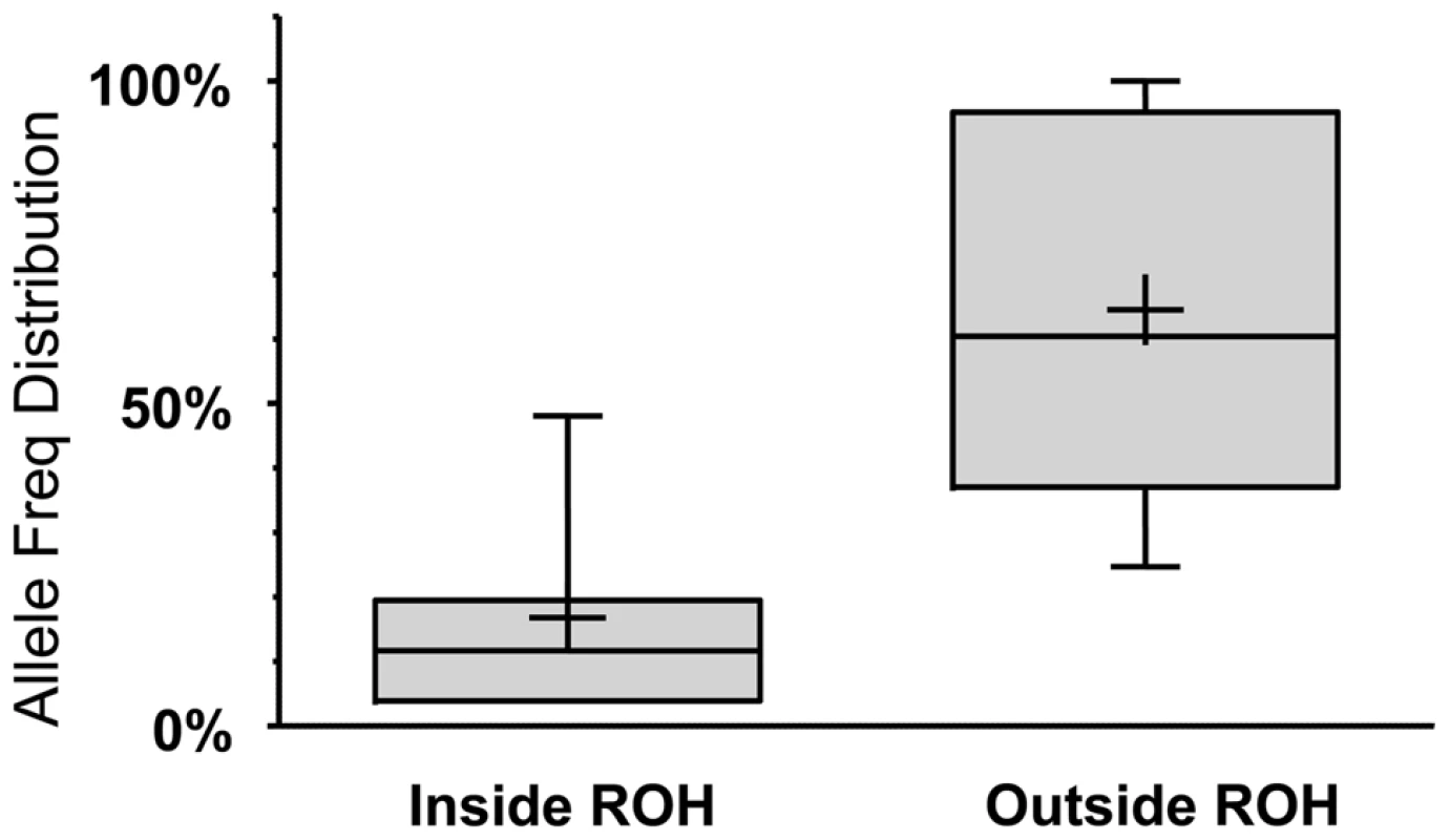 LoF alleles that are significantly biased (at p<0.1 using a one-tailed binomial test, see <em class="ref">Text S1</em> for details) to be within the autozygome (when called at a minimum ROH cutoff of 2MB) are rarer compared to alleles biased to be outside of the autozygome.
