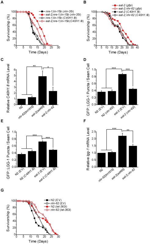 <i>nhr-62</i> regulates a DR-induced lipase and autophagy.