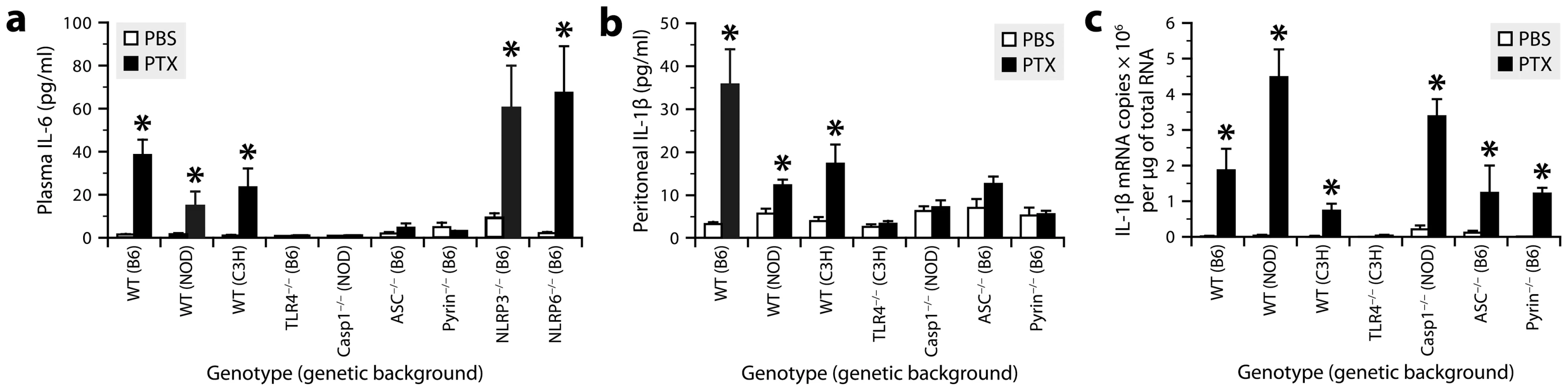 PTX induces the IL-1β−IL-6 cascade through the TLR4 pathway and pyrin inflammasome.