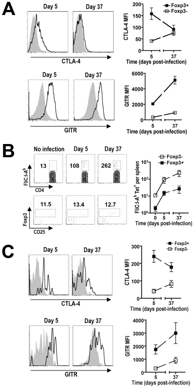 Expression of Treg-associated effector molecules during persistent <i>Salmonella</i> infection.