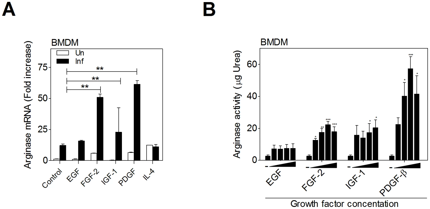 Growth factors upregulate arginase 1 in macrophages.