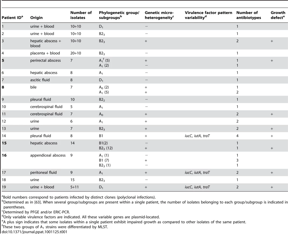 Main characteristics of the <i>E. coli</i> studied.