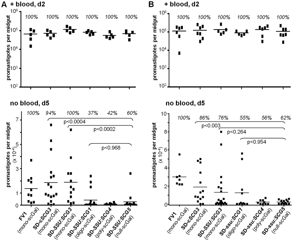 Survival of <i>L. major</i> SD-<i>SCG</i> transfectants in <i>Ppap</i>J sand flies is dependent on expression of specific scGal-LPG PAMPs.