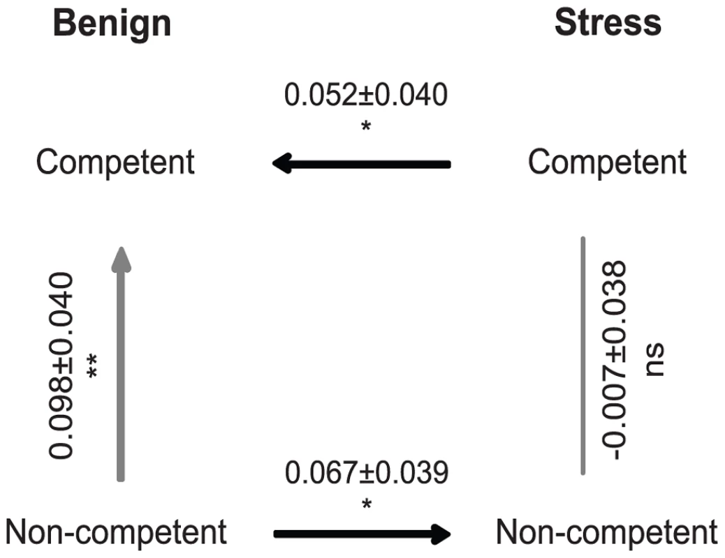 Fitness differences between experimental treatments estimated from direct competition assays between evolved populations.