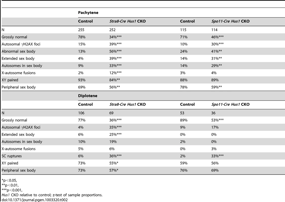 Patterns of γH2AX localization in <i>Stra8-Cre</i> and <i>Spo11-Cre Hus1</i> CKO spermatocytes.