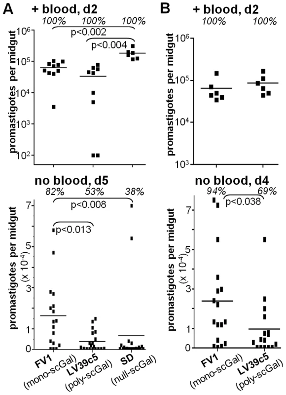 Galactosylated LPG does not ensure survival of <i>L. major</i> promastigotes in Jordan Valley strain <i>P. papatasi Ppap</i>J sand flies.