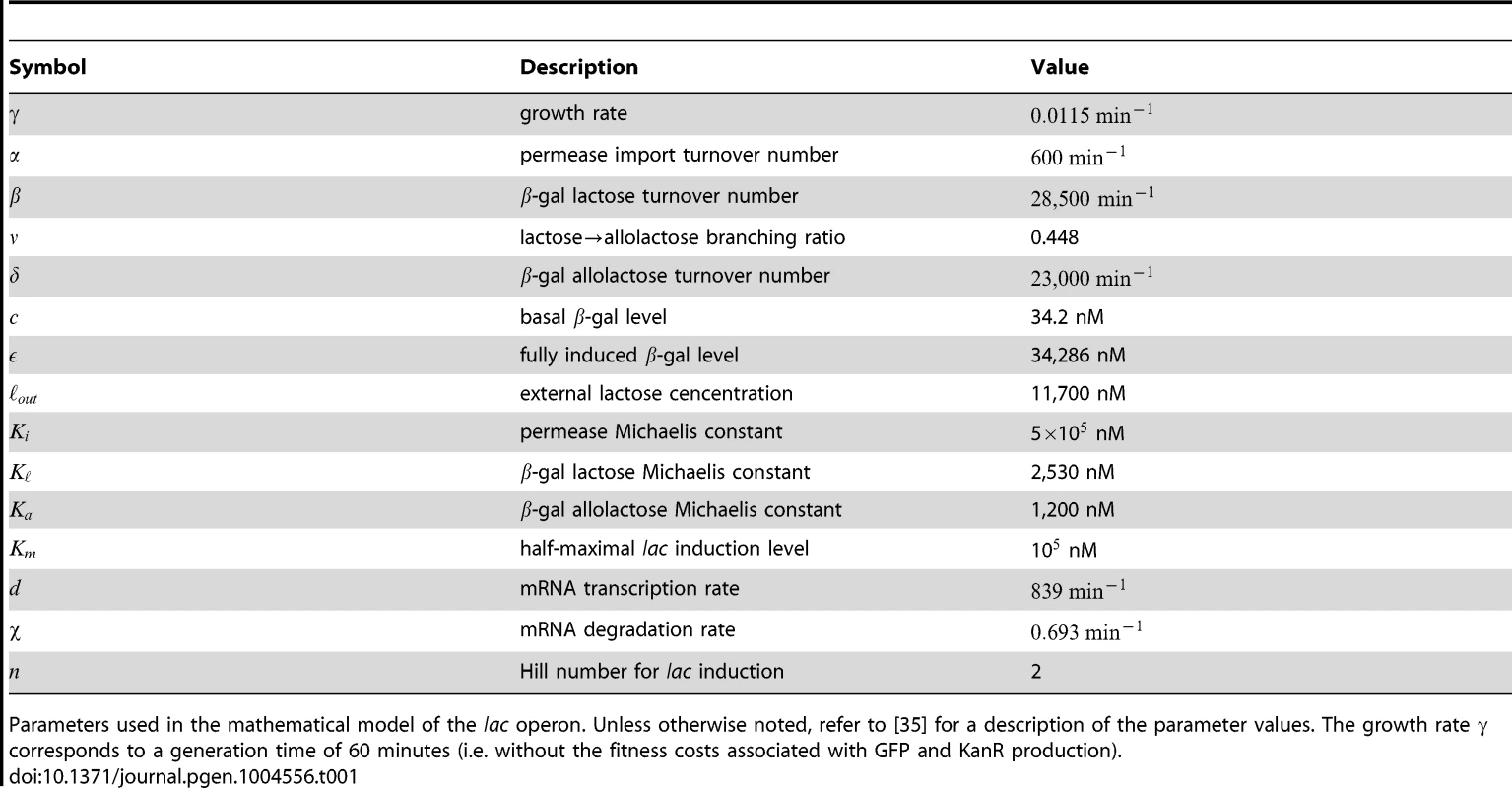 Model parameters.