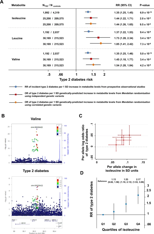 Genetically predicted or measured levels of the branched-chain amino acids and risk of type 2 diabetes.