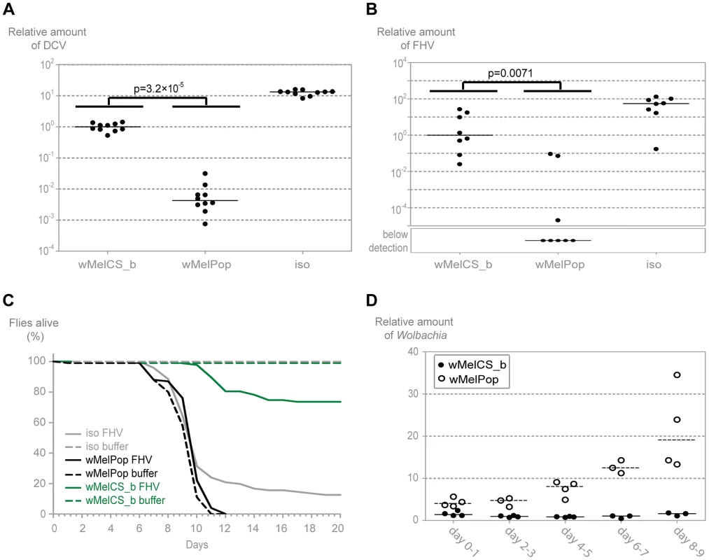 wMelPop confers the strongest antiviral protection.