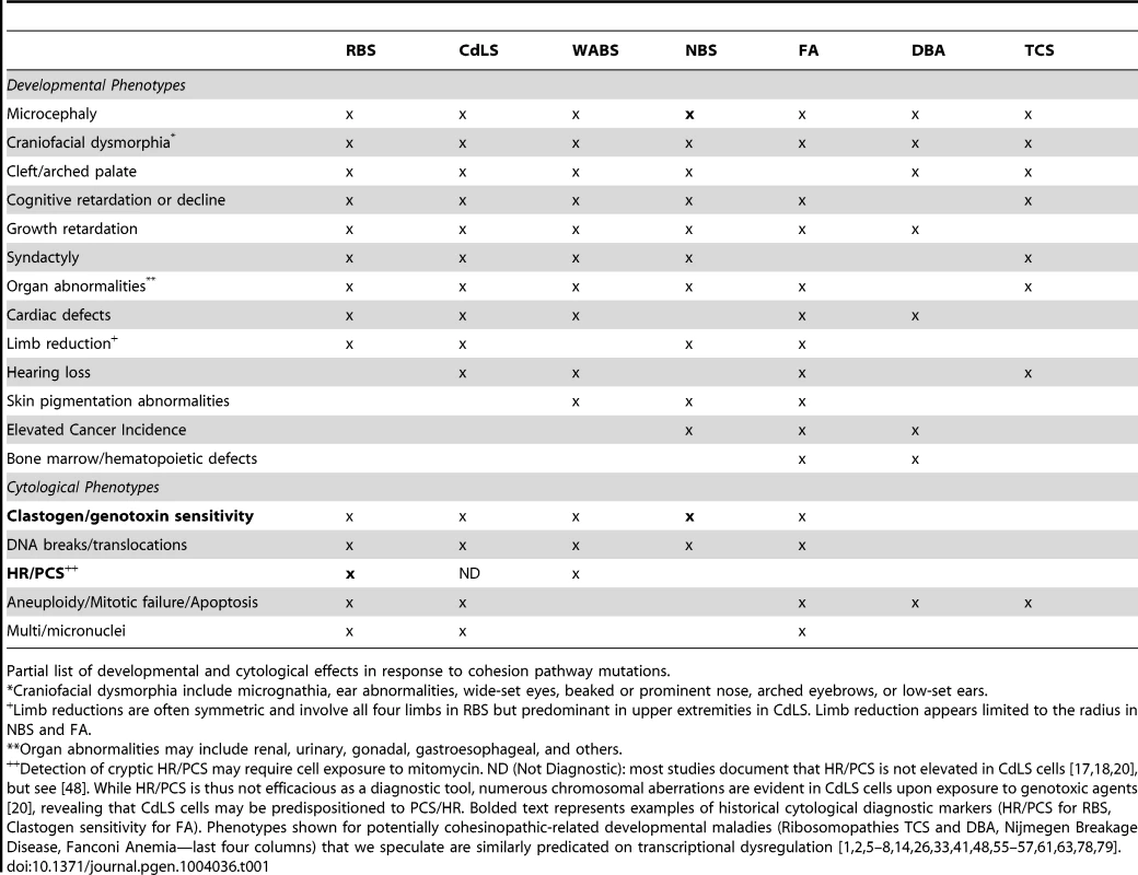 Developmental and cytological phenotypes of cohesinopathies and potentially related maladies.