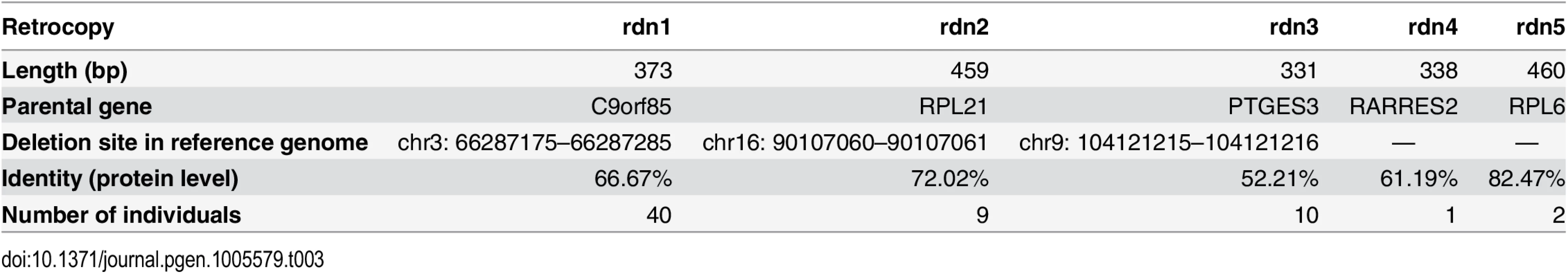 Retrocopies absent in the reference genome.